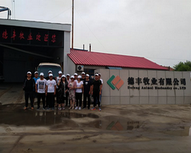 德豐牧業(yè)全體員工向全國人民問好！